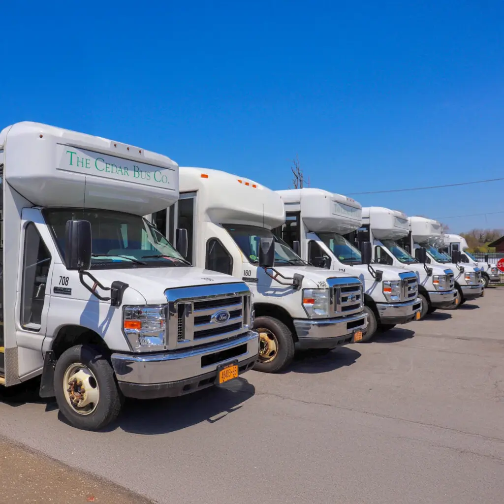 a line of busses