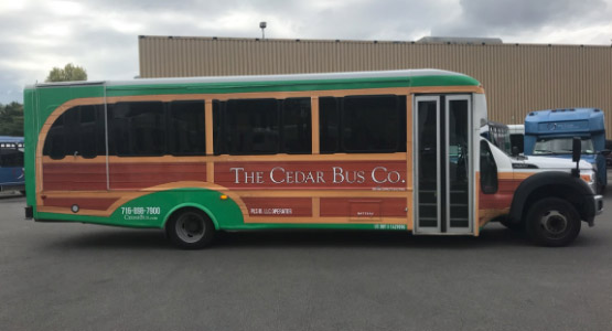a red and green bus