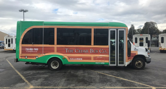 a green and red bus