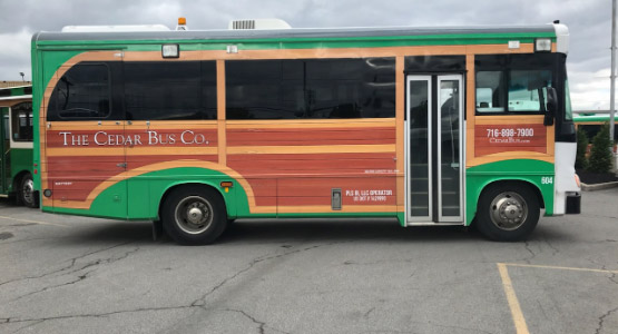 a green and red bus